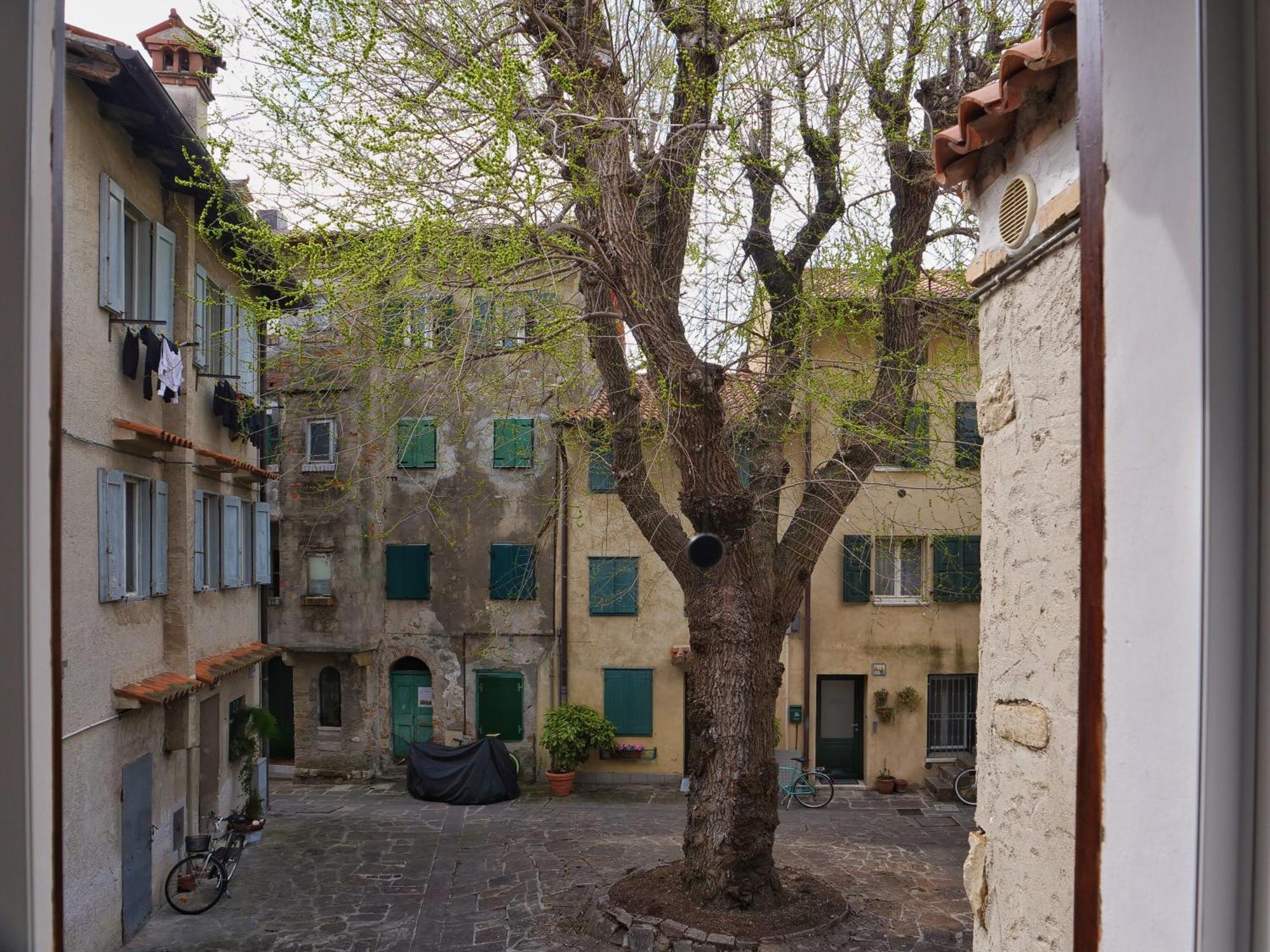 Apartment Casa Vianella - Romantico Monolocale Per Vivere Volta Grado